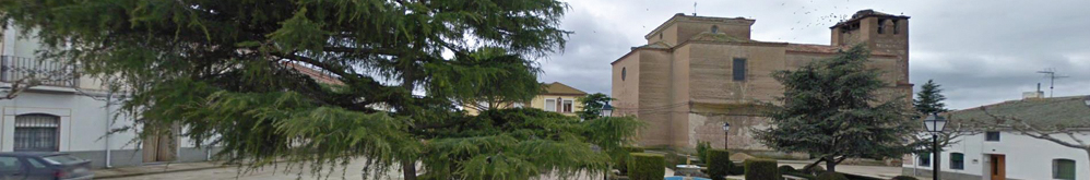 Banner de cabecera
